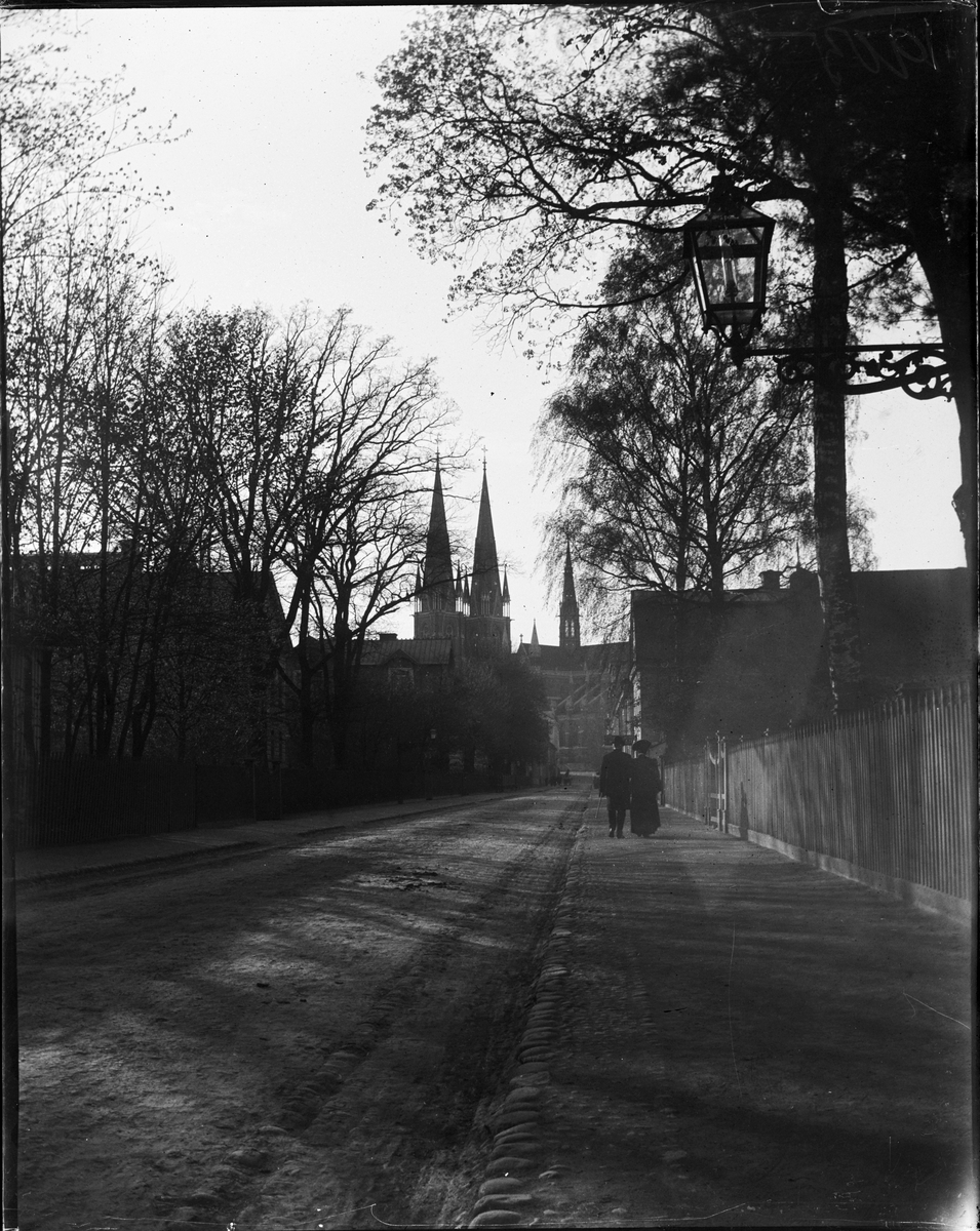 Trädgårdsgatan, Uppsala 1905