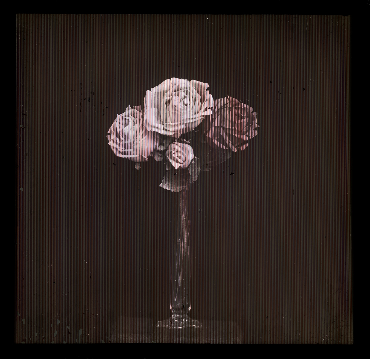 Stilleben på bordet med fire roser.