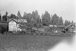 Bebyggelse på Solheim, antagelig noen år før 1950.