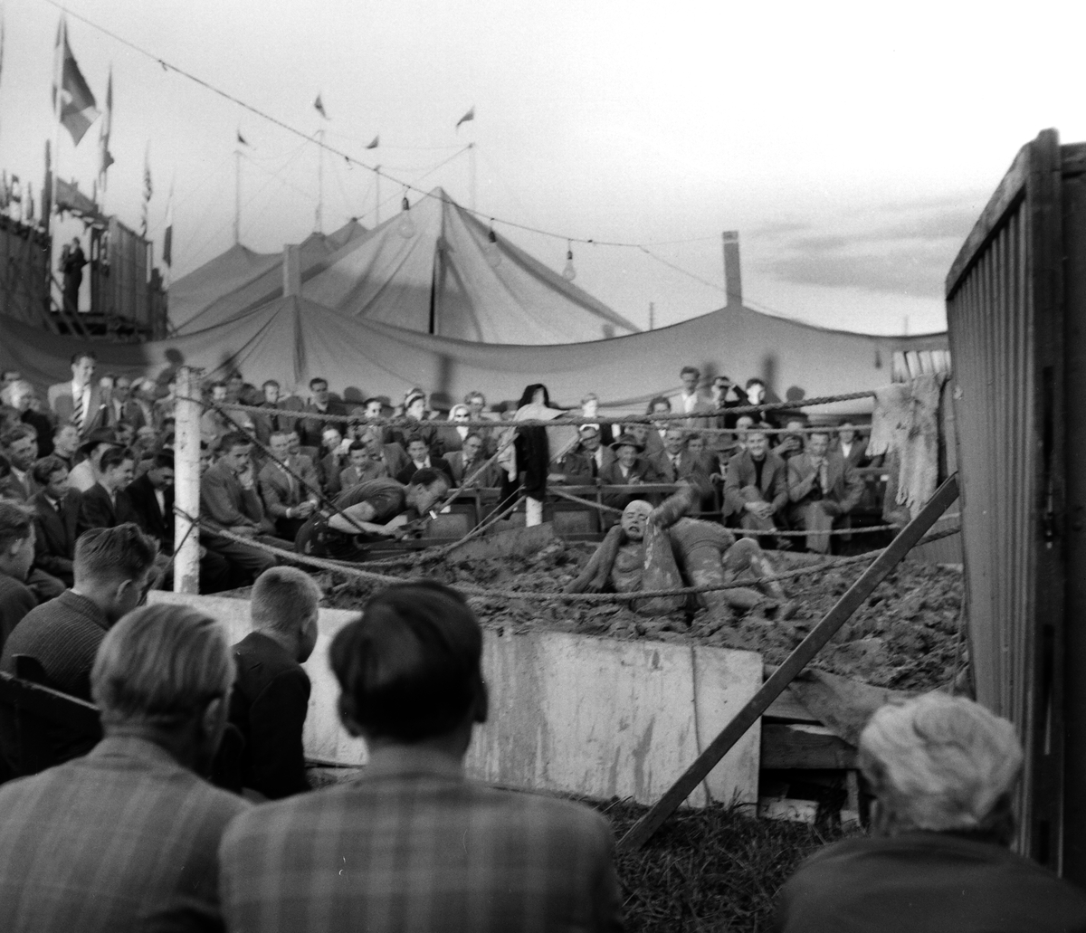 Skänninge marknad 1954.
Pressfotografier från 1950-1960-talet. Samtliga bilder är tagna i Östergötland, de flesta i Linköping.