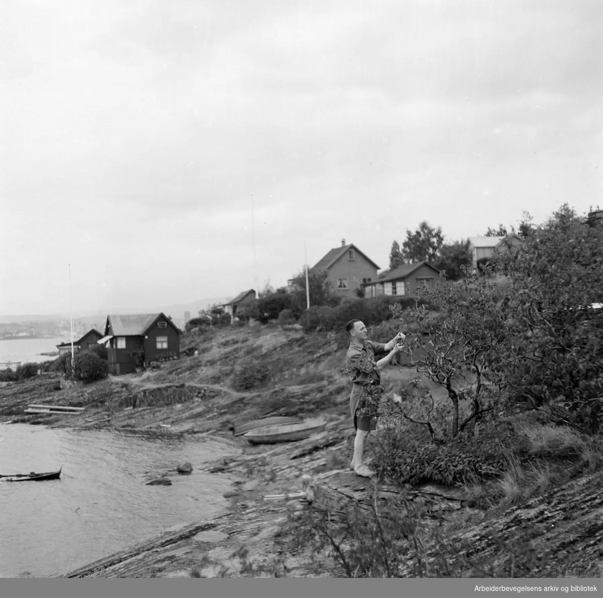 Hytteidyll i Oslofjorden. Lindøya. Juli 1947