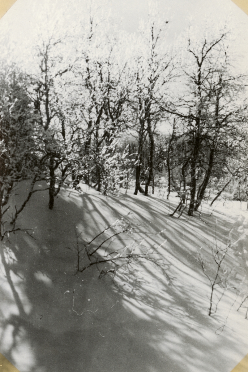 Text i fotoalbum: "Hk vinterövning i Åretrakten mars 1944".