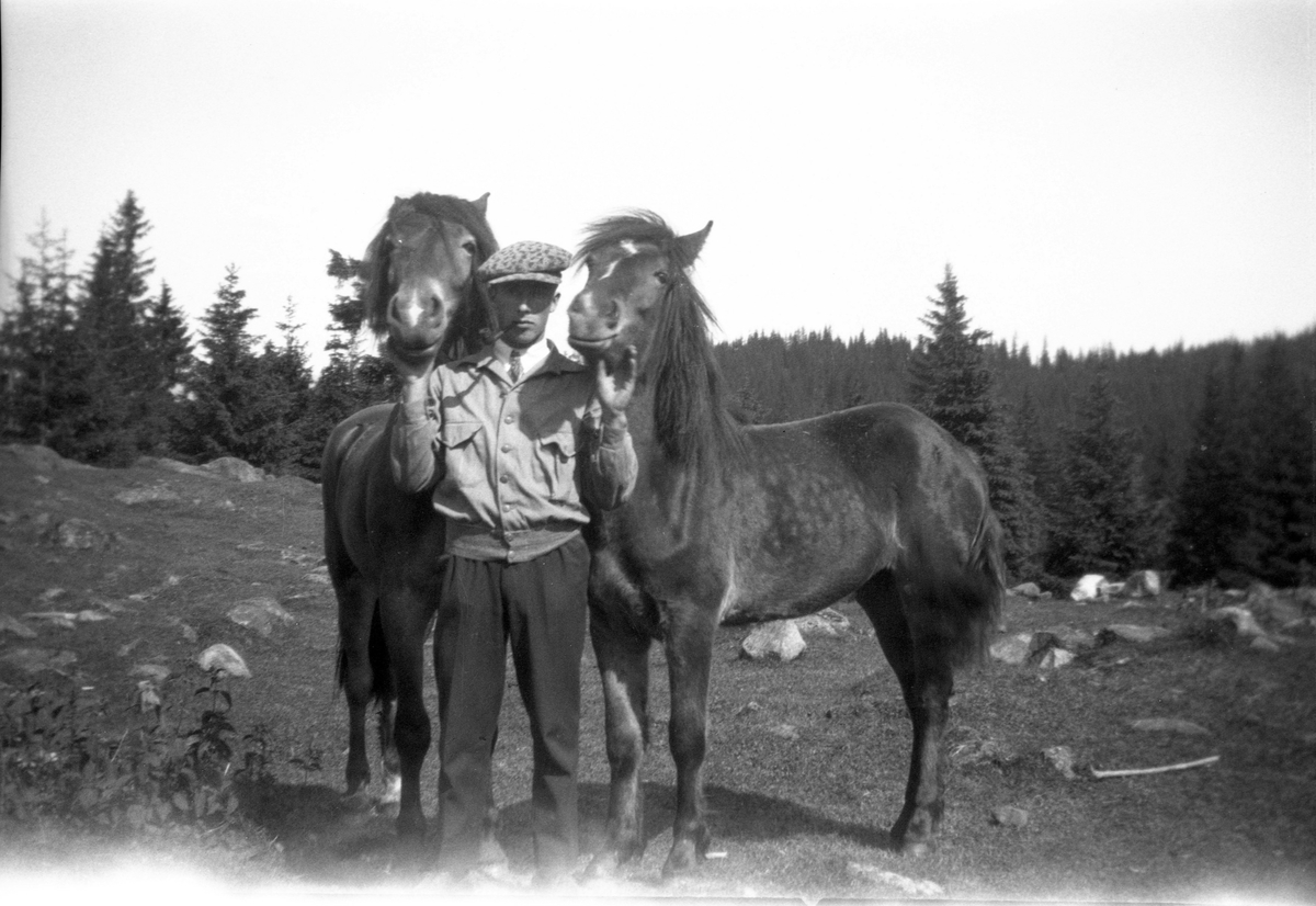 mann med to hester
