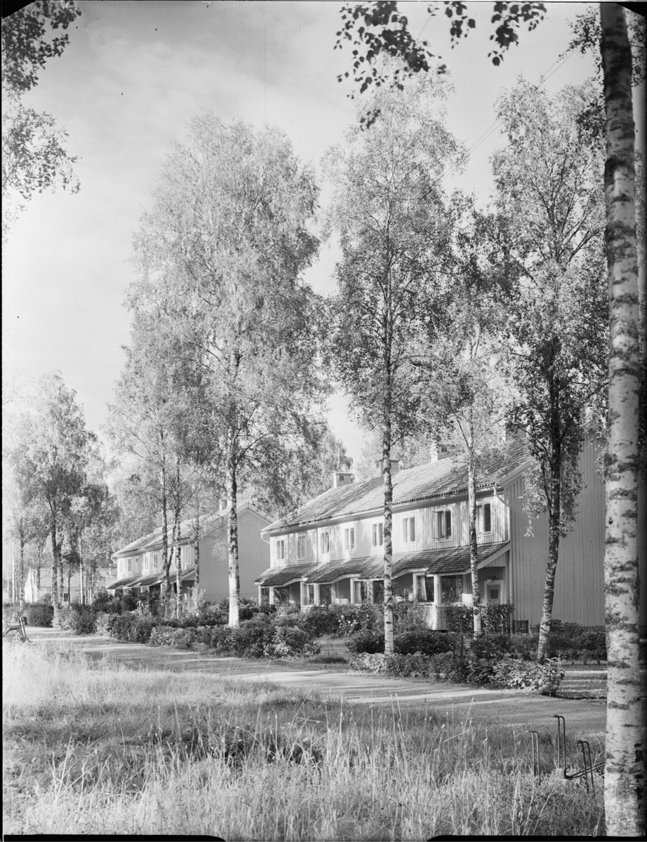 Radhus i Uddeholm
Exteriör. Träd i förgrunden.