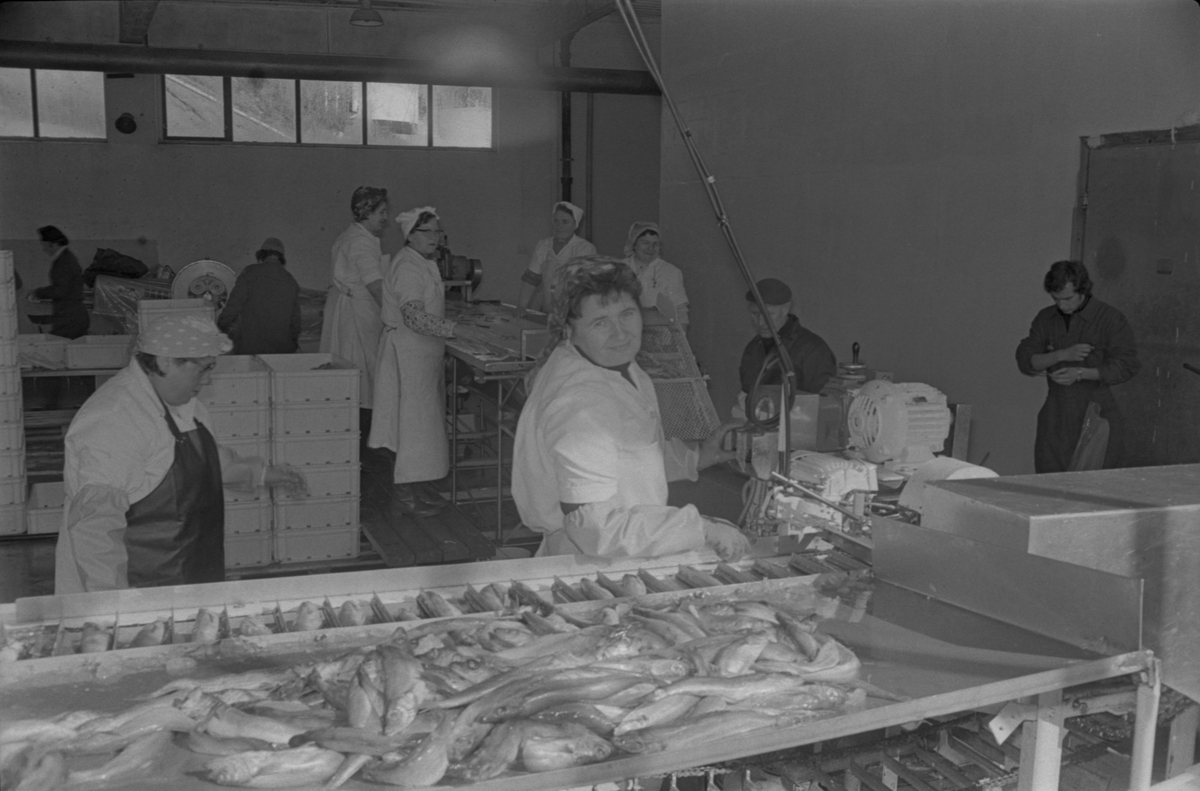 A.S. Fiskeindustri i Egersund