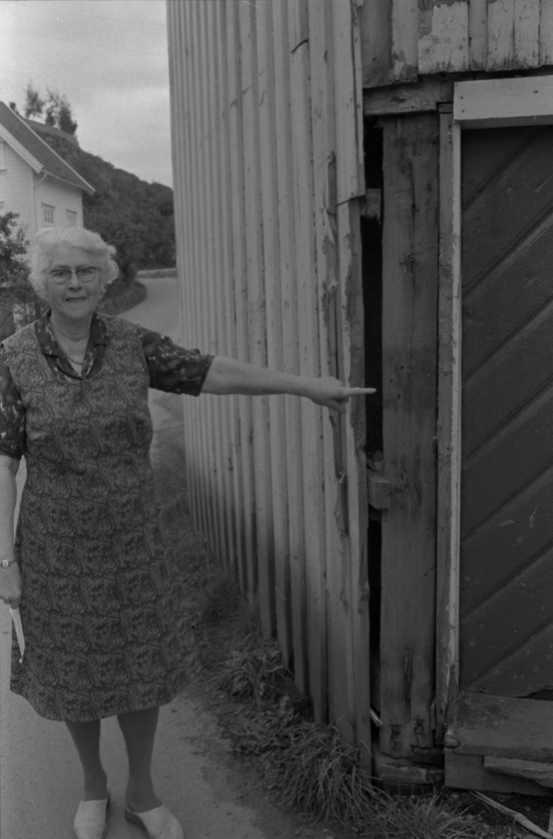 Åve i Rekefjord, ca. 1975. Fru Skårdal viser hvordan trafikken til steinbruddet har skadet husveggen hennes.