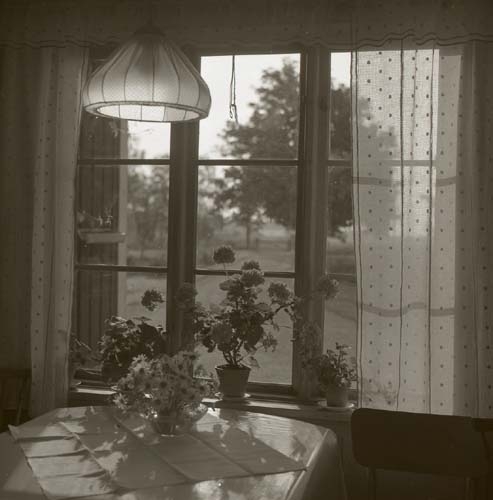 Från köksfönstret i Sunnanåker, taget för att få slut på filmen, 4 juli 1956.
