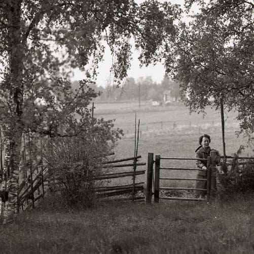 Adéle vid grinden, Sunnanåker 1973.