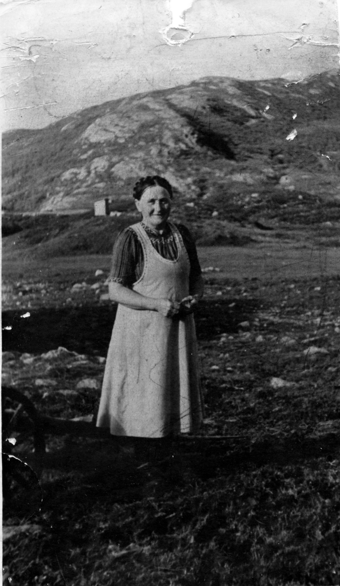 Anne Halvorsdotter Folkestad på Hollane 1937