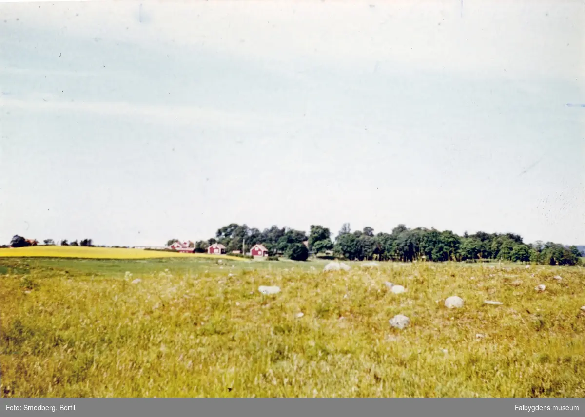 Vikens gård sedd från öster (från ruinen vid Snösbäck).