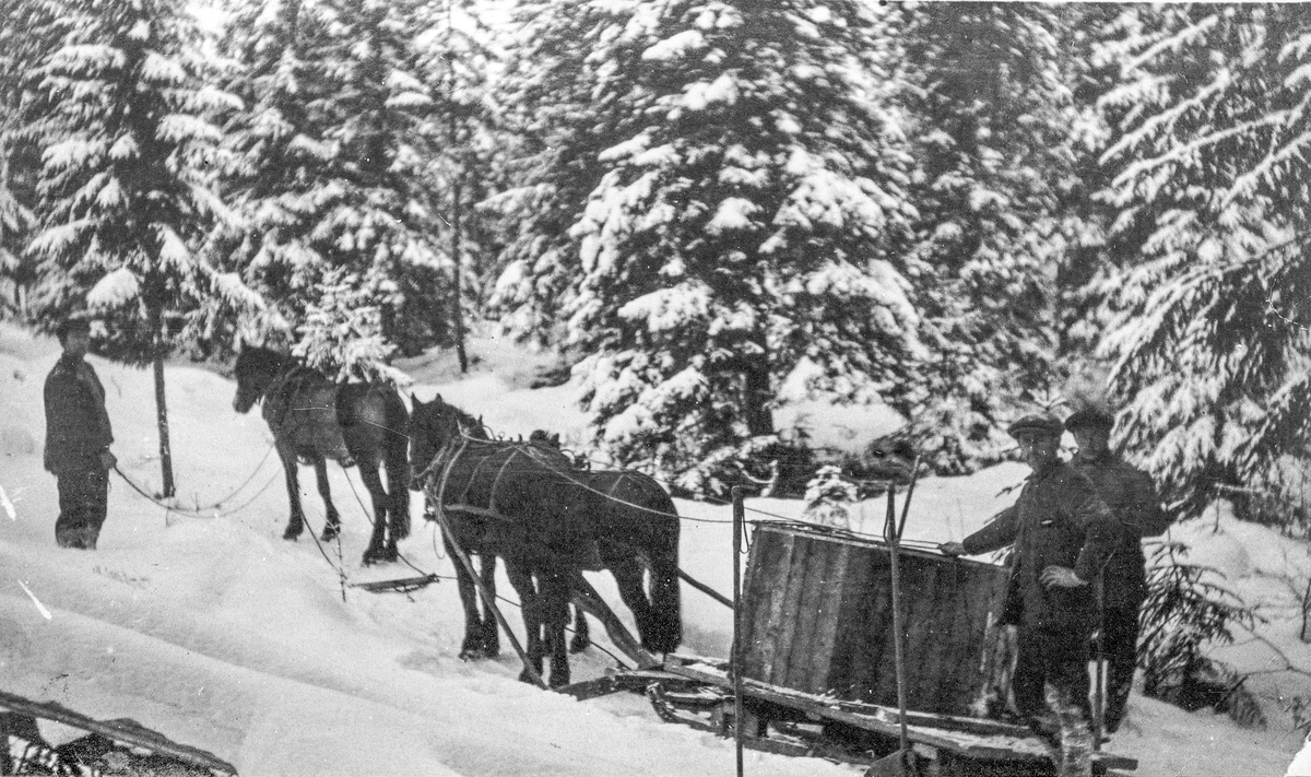 Norelinja i Vestfjellet i Eggedal under oppførelse, 1920-årene. Framkjøring av kabel med hest. Fra venstre: P. Bergerud, A. Hagavoll og P. Øen. 
