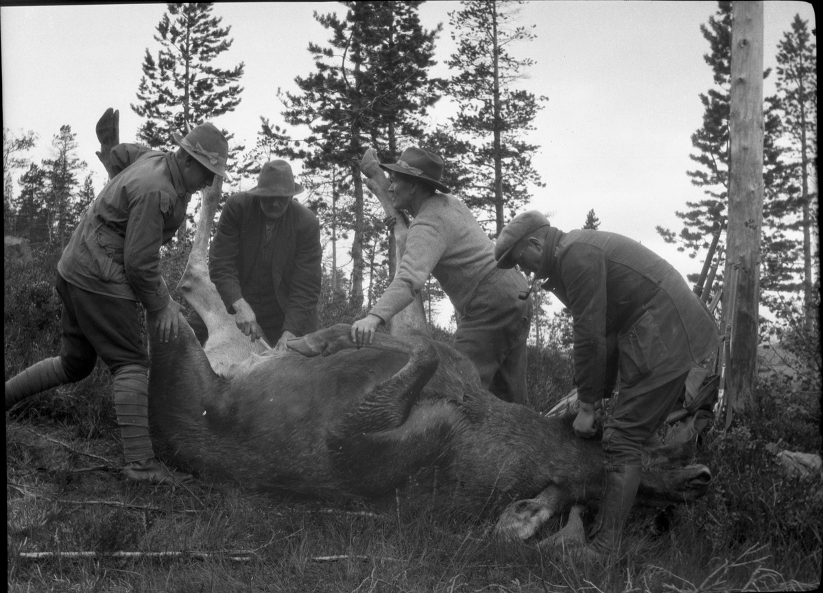 Fotosamling etter Kjetil Skomdal (1881-1971). Fotografen virket i perioden 1910 til 1960 og hadde eget mørkerom hvor han også tok imot film fra andre fotografer. I perioden var han også postbud i Fyresdal. Portrett av jegere som vommer ut elg.