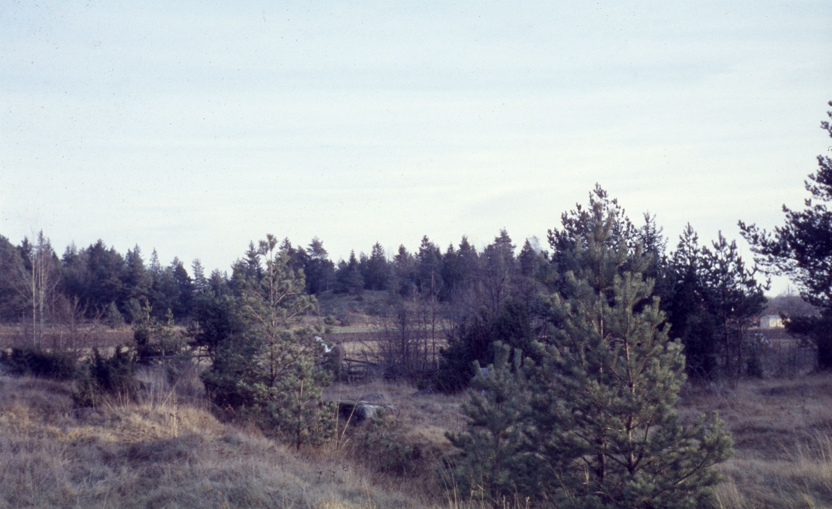 Fastigheten Hagby, Ånestad, Linköping år 1958. Bilden visar fastigheten Hagby, ett egnahem med jordbruk, byggt 1905. I idag med adress Fjärilsvägen 132, foto mot sydöst. Området bebyggdes med kedjehus 1960. foto mot sydöst. Området bebyggdes med kedjehus 1960.