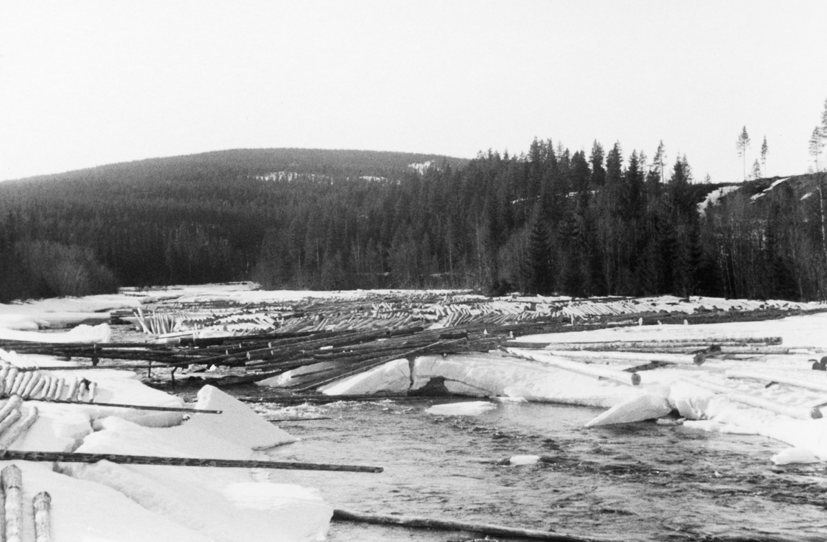 Islagt tømmer på Atna våren 1954.  Fotografiet viser hvordan virket er opplagt i floer på snødekte isflater langs vassdraget.  Floene ligger på tverrstokker som skulle forebygge at virket frøs ned i isen.  Da bildet ble tatt hadde våren kommet så langt at djupålen var isfri.  Råken vokste ved at isflatene langsmed djupålen "kalvet" isflak ut i den rennende vannstrømmen.  På denne måten ble stadig mer av fløtingsvirket liggende slik at det etter hvert kom til å falle i elva.  En del stokker ligger sågar på tvers av den åpne djupålen.  Fotografiet er tatt på et sted der elvefaret er forholdsvis vidt og flatt, og hvor det er islagt mye barket virke.  Langs elva vokser det barskog.  Deler av bakkekammen til høyre på bildet preges av hogst.  Enkelte furuer er gjensatt, antakelig som frøtær. 