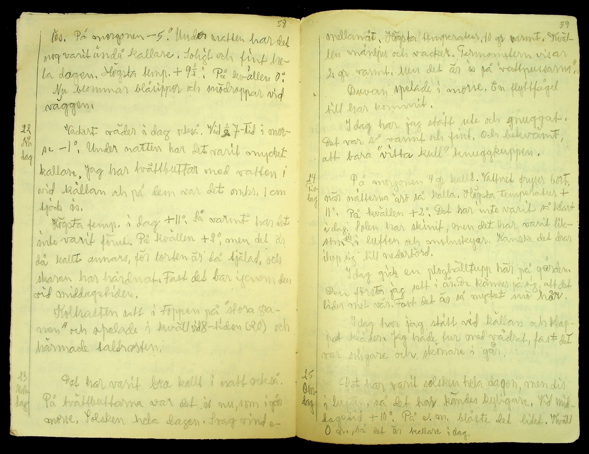 Dagbok skriven år 1956 av Rällsjö Brita på Rällsjögården i Bjursås socken. 
Innehåller bl.a. anteckningar om väderlek, fågelobservationer och diverse händelser (järnvägsolyckor m.m)