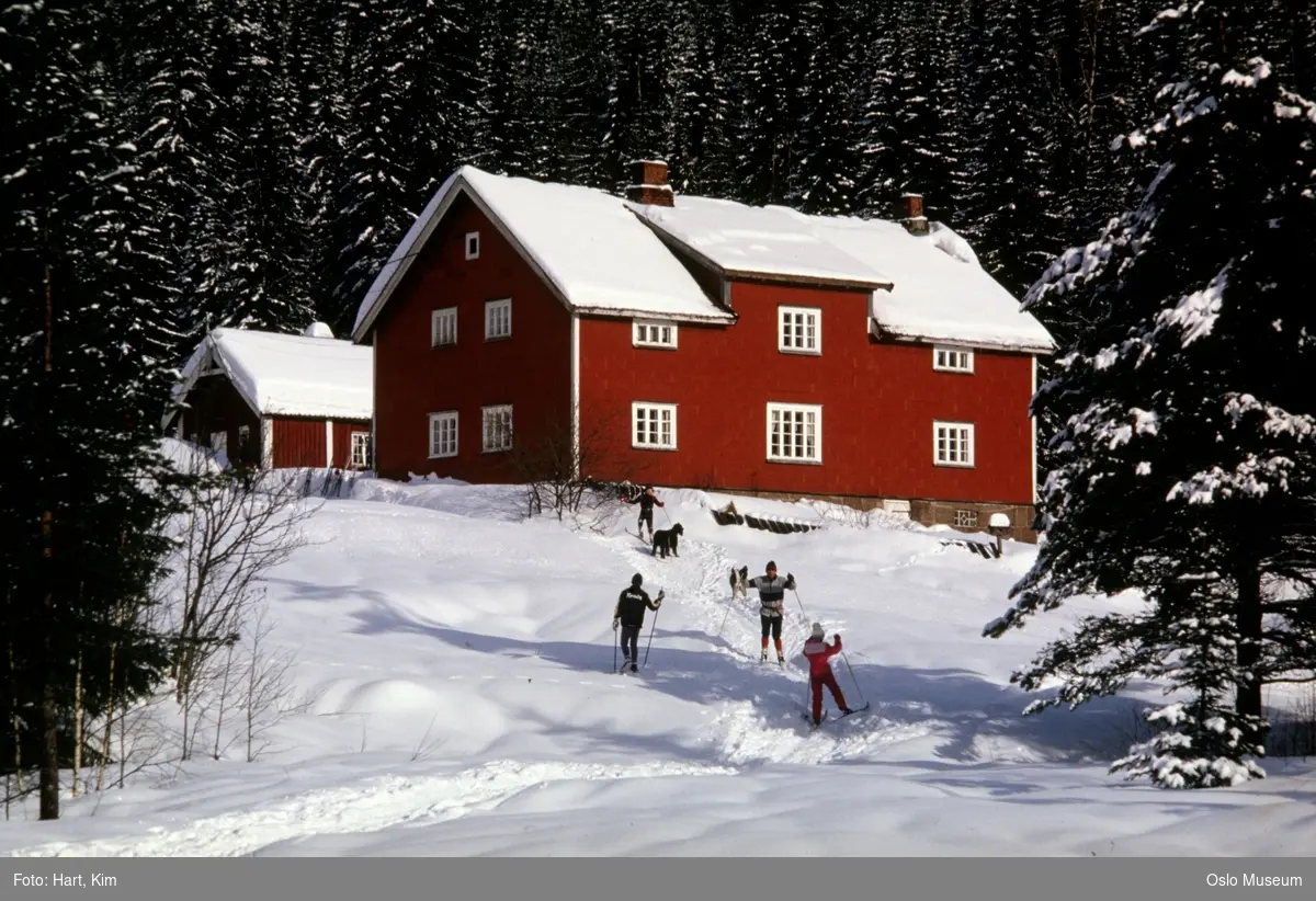 Lørenseter, bolighus, uthus, kulturlandskap, snø, skiløype, skiløpere, hund, skog