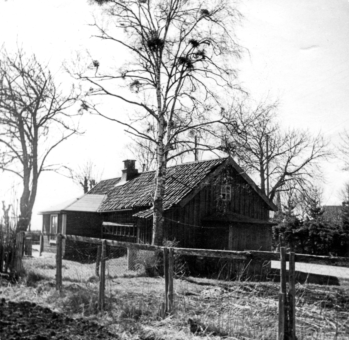 Repslagaregatan 42, "Mjöl-Gustavas". Gustav Andersson född 1832, död 1902, förestod "Mjölboa" i Bazarbodarna vid orget. Dottern Anna född 1865.