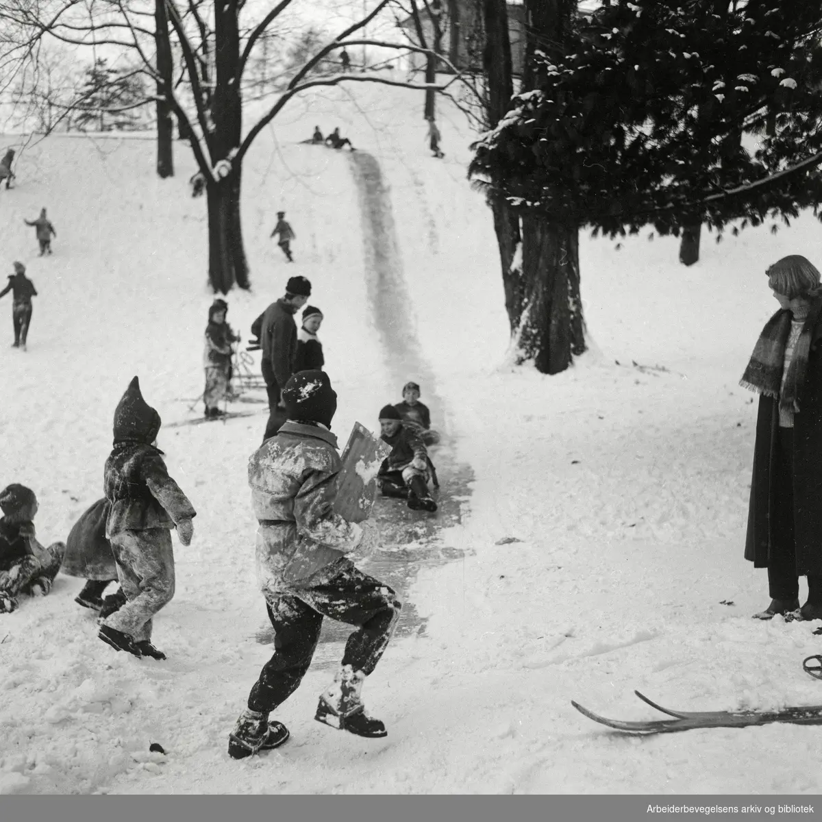 Aking. Barn leker i snøen på St. Hanshaugen i Oslo. Januar 1956.