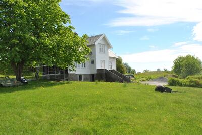 kvitt gardshus i grønt landskap, eit stort tre til venstre (Foto/Photo)