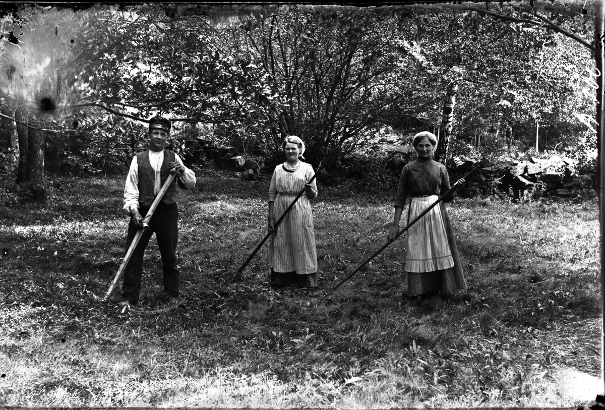 Slåtter i hage vid Jannes i Sällstorp. Nils står med lien, Berta och Hilda räfsar. Bakom stengärdsgården breder lövskogen ut sig.