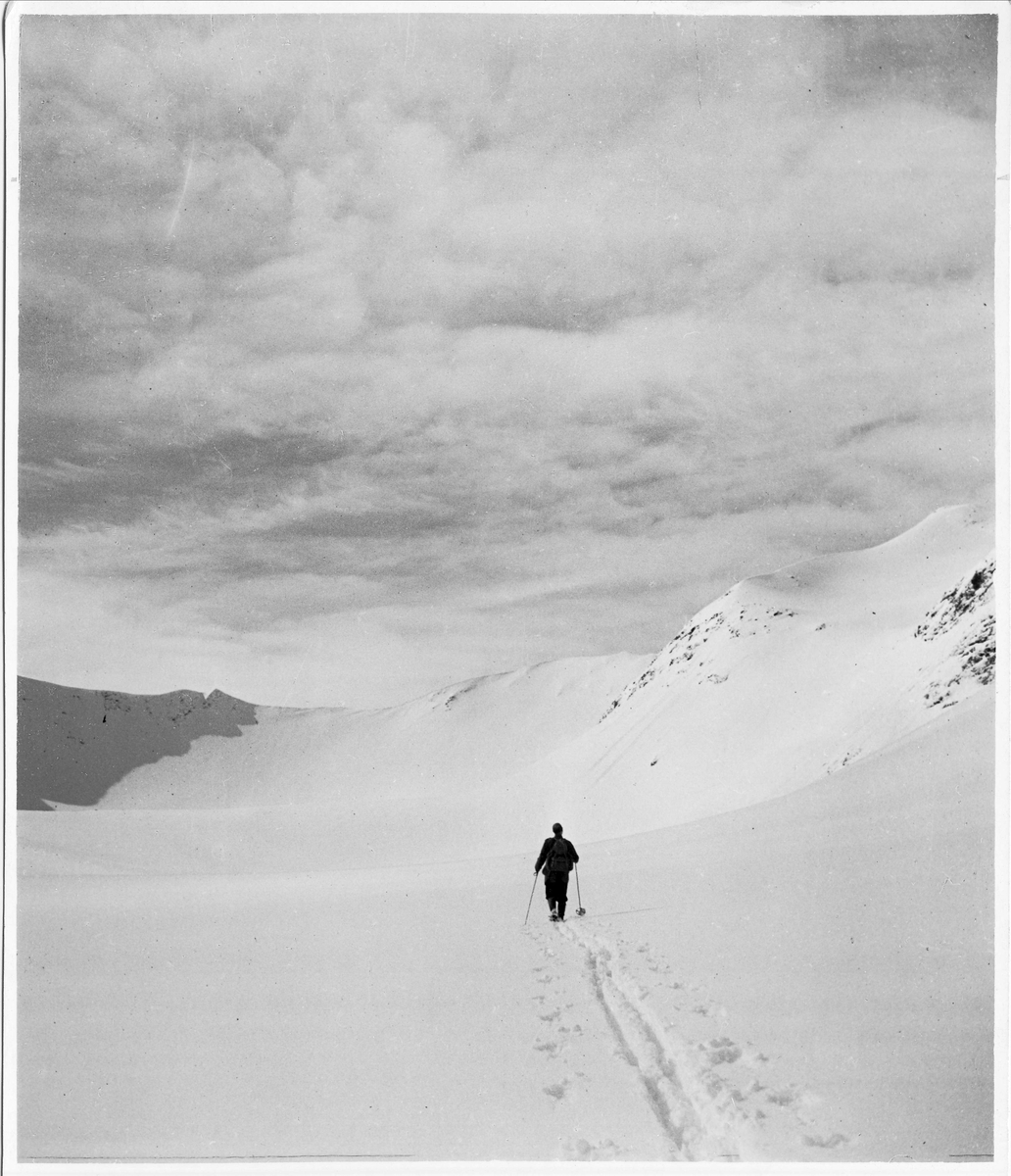 Sylmassivet, Jämtland. En skidåkare på fjället, skidspår i snön.