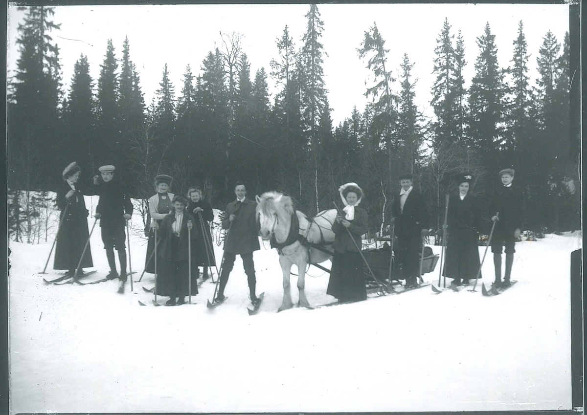 En gruppe unge mennesker, 6 kvinner og 4 menn, står med ski på beina på hver side av fjording med sluffe. Grantrær i bakgrunnen.