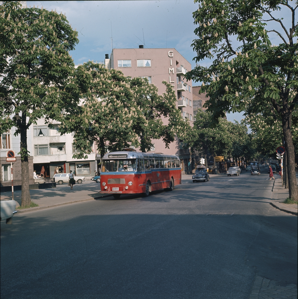 Buss og biler i Bygdø Allé våren 1967. Kastanjene står i full blomst. I bakgrunnen ses Gimle kino.
