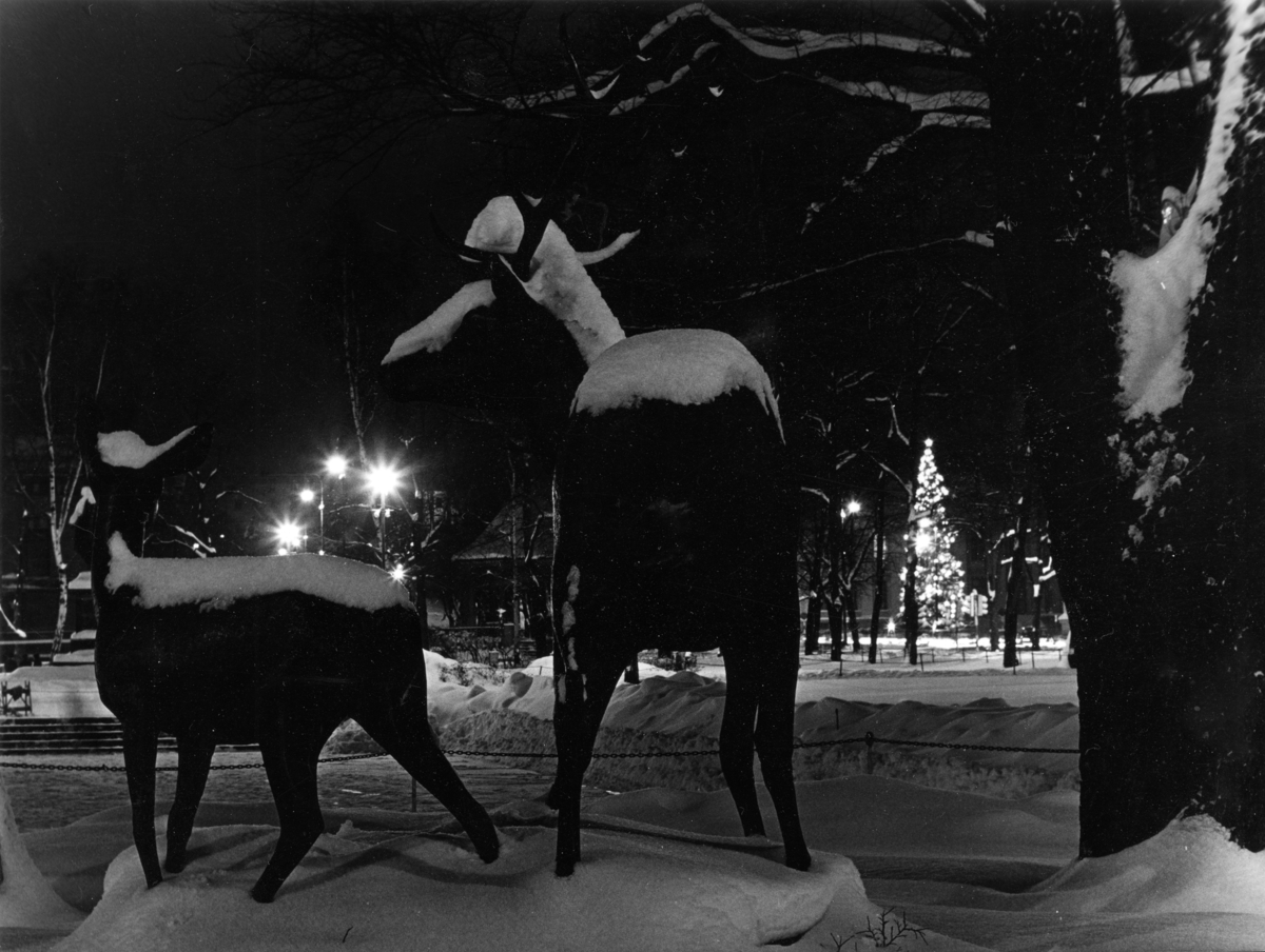 Det stunder mot jul, Oslo 1962? Foto: P.A. Røstad.