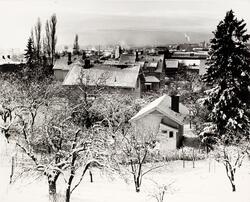 Vinter over byens tak. Oslo fra Grefsen.
