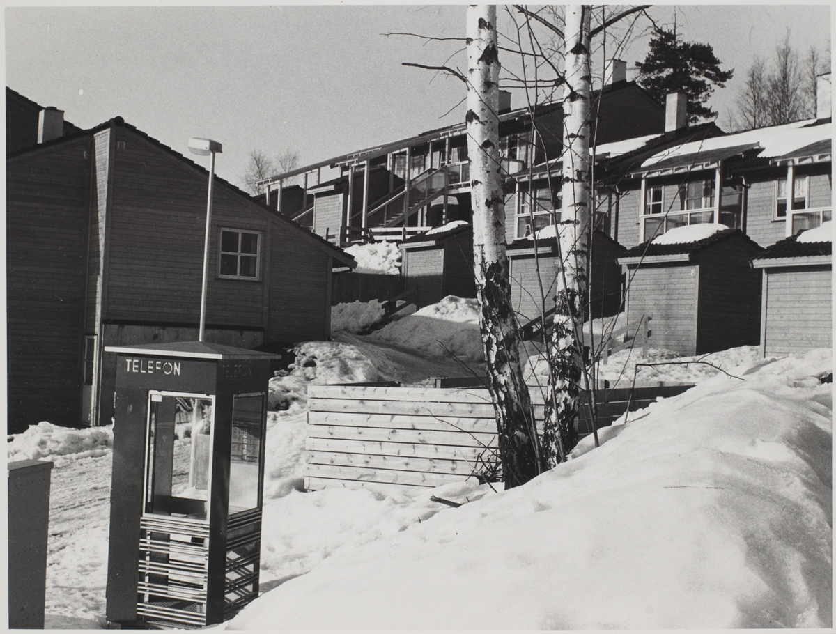 Foto av ny bebyggelse i Akebakkeskogen, mars 1984.
