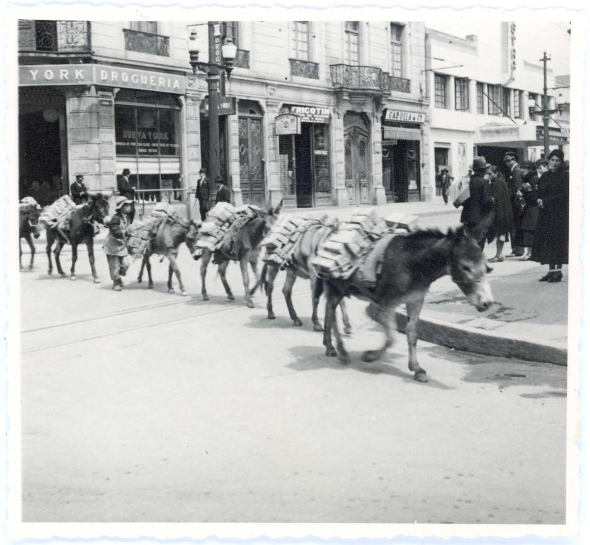 Tegeltransport med fyrbenta åsnor. Bogotá i juli 1935