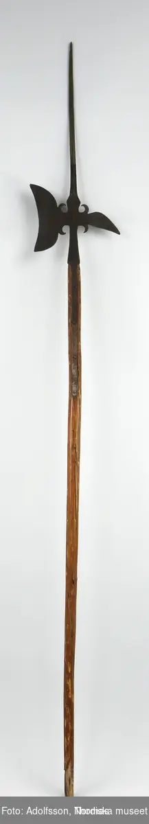 Hillebard av S.k. hälsingetyp, men förmodligen tillverkad i Arboga. 
Vapnet inköpt från Norrköpings arbetarförening. -" tillhört Norrköpings arbetarförenings museum, hvilket numera genom köp införlivats med Nordiska museet" ( 1882)