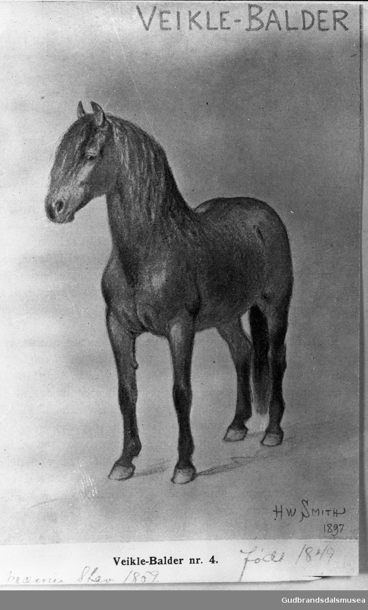 Repro hester. "Rakel 1155" og "Veikle.Balder" f. 1849, premiert på Stav i 1859.