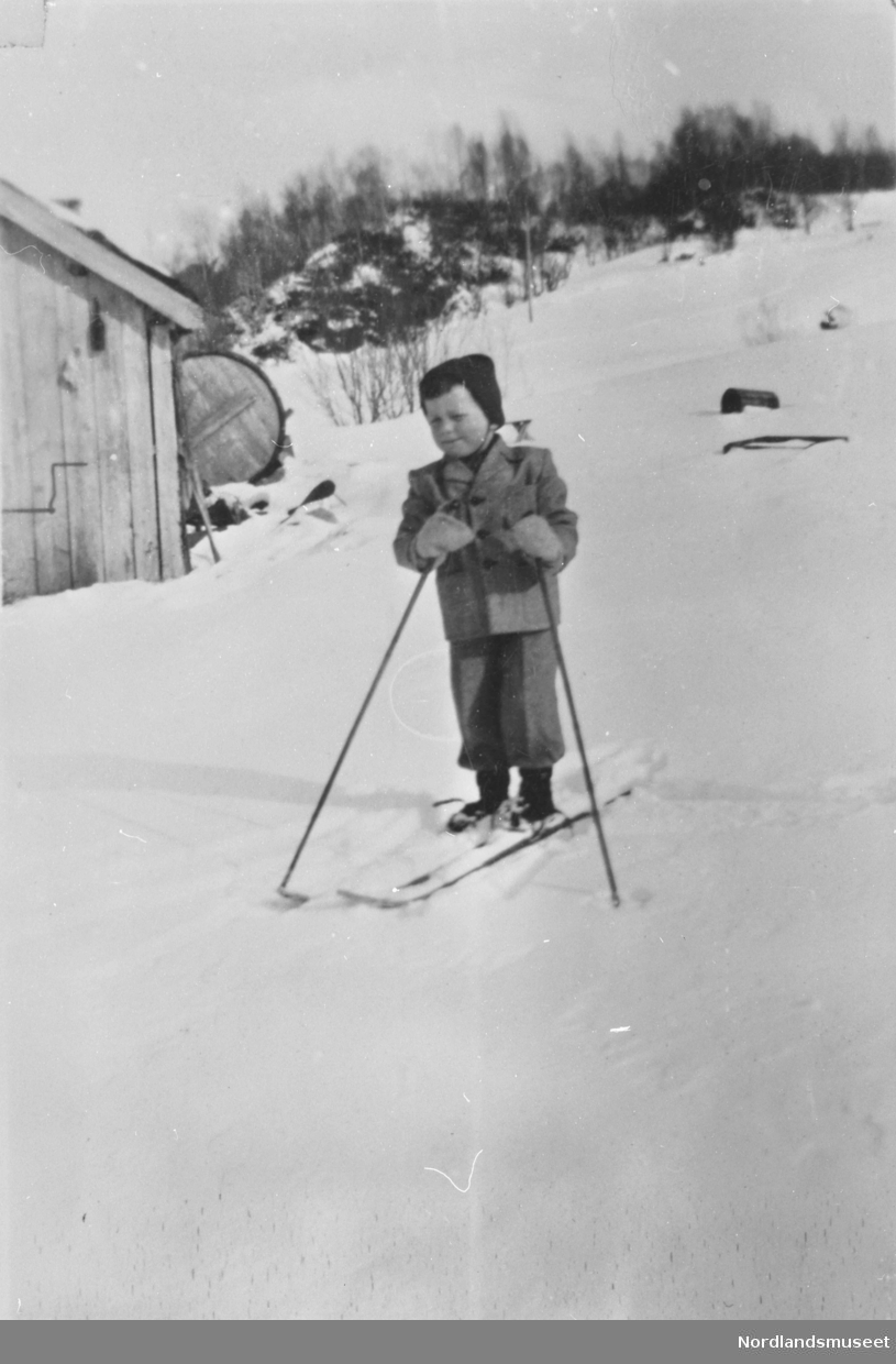 Roy Johnsen på ski.