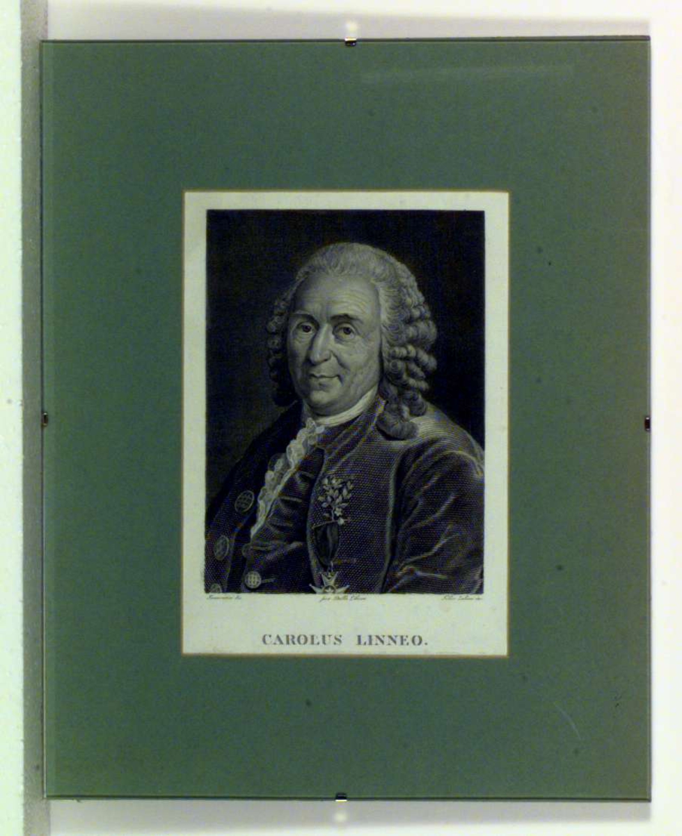 Portrett av Carl von Linné