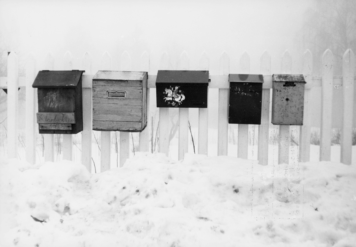 postkasser, private, henger på et gjerde, snø på bakken, eksteriør
