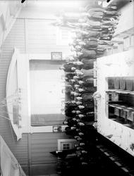 Ringebu kommunes fest for russiske krigsfanger fra Frya. Bil