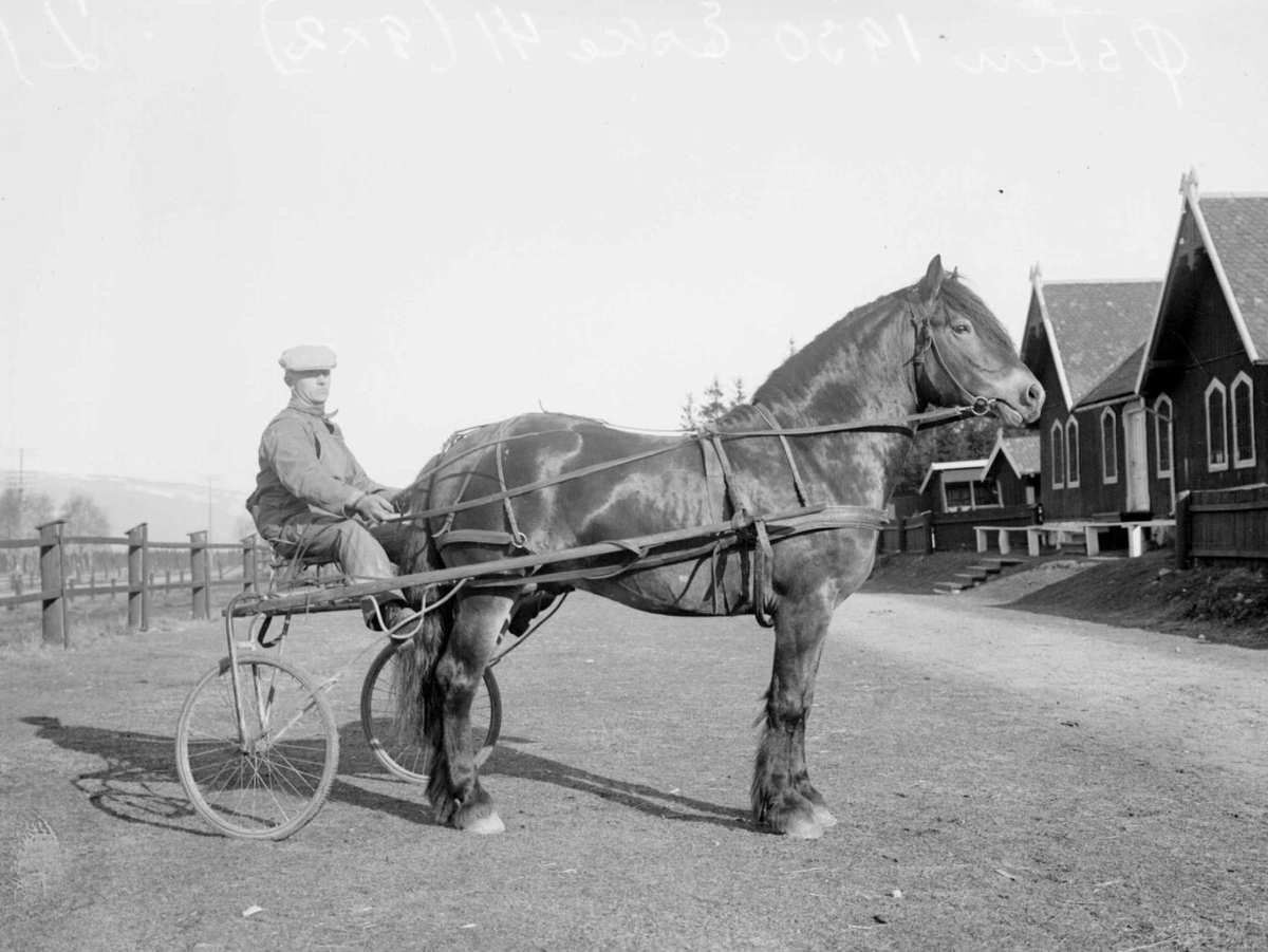 Hest Med Sulky Og Mann Hingsteutstilling På Smestadmoen 1930 Østen Maihaugen Digitaltmuseum 