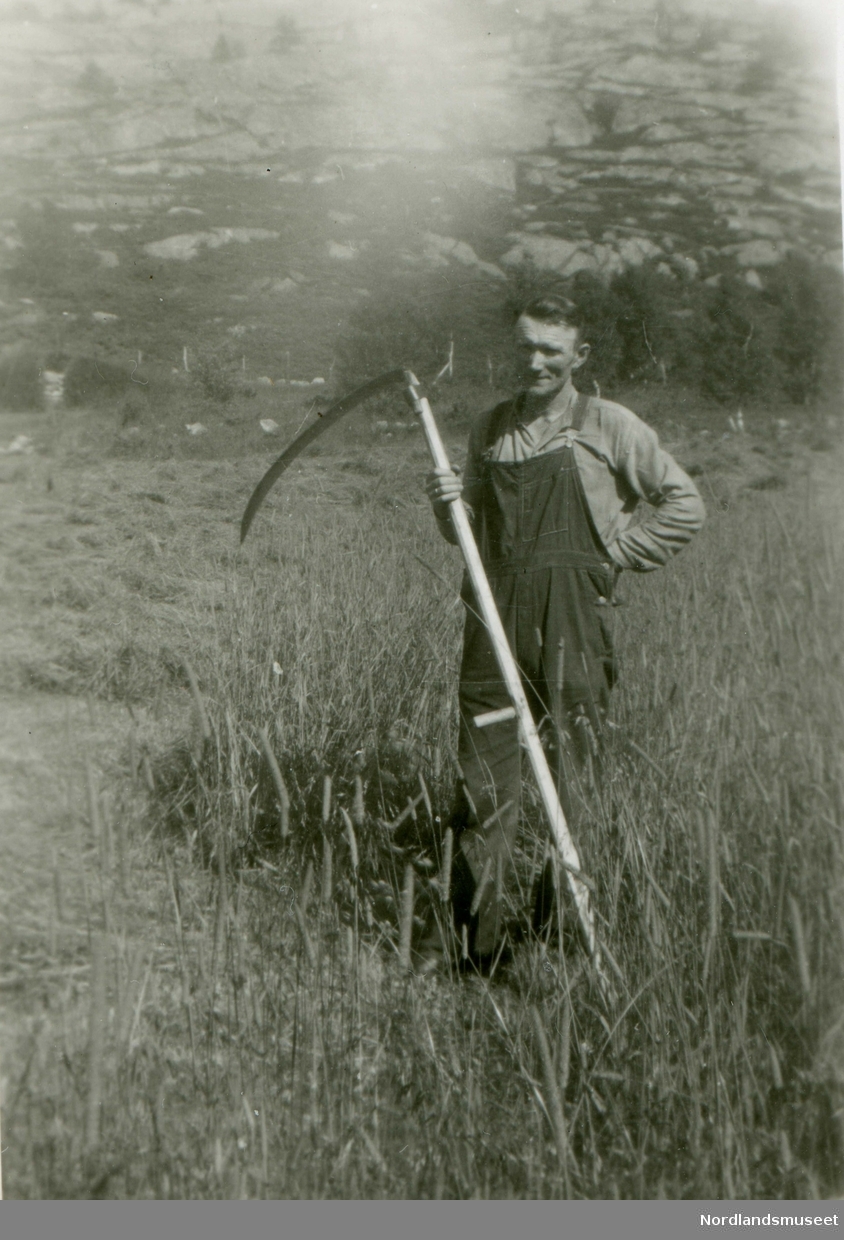 Wilhelm Gustav Adolf (f. 1903) Kristensen ute på slåttmarka i Sollia i Skotsfjord.