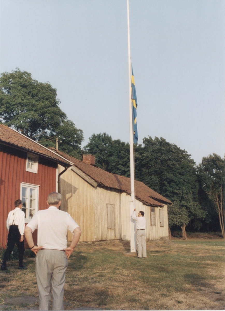 Staffan Bjerrhede halar ner flaggan efter midsommarfirande 1993. Berny Gustafsson och Gustaf Carlsson ser på. Till vänster ses den röda Hembygdsgården Långåker 1:3 och i bakgrunden Långåker 1:2 "Davids", "Derras".
Relaterade motiv: A03389 - A03408.