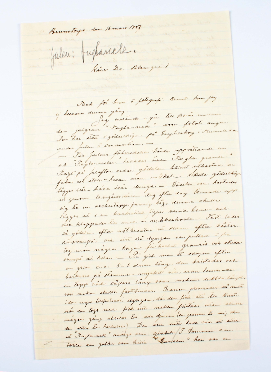 Uppteckning (anteckning) i form av stort linjerat pappersblad med handskriven text: "Till julens förberedelser hörde uppsättande av s.k. "Fugla-neker". Kallades även "Fuglagraner".............. Skriven av Gustav Källman i Brunstorp 16/4-1927.