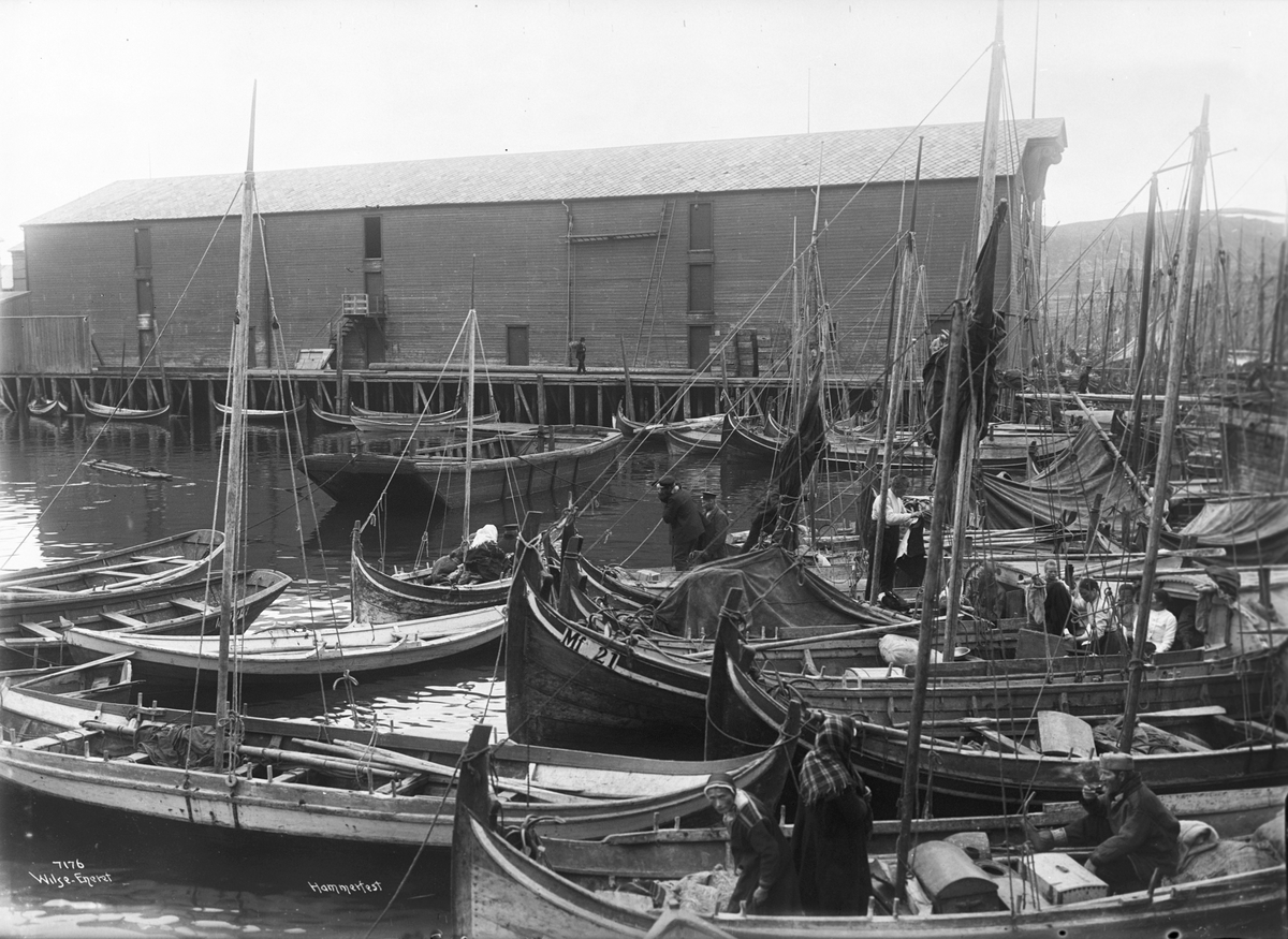 Fiskebåtene ligger tett i tett i havna i Hammerfest. Fotografert i 1907.