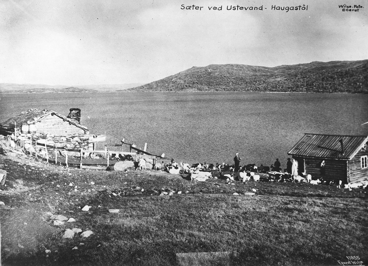 Budeier, gjetere og geiter på setertun ved Ustevatnet, Haugastøl, Hol i Buskerud,1915.