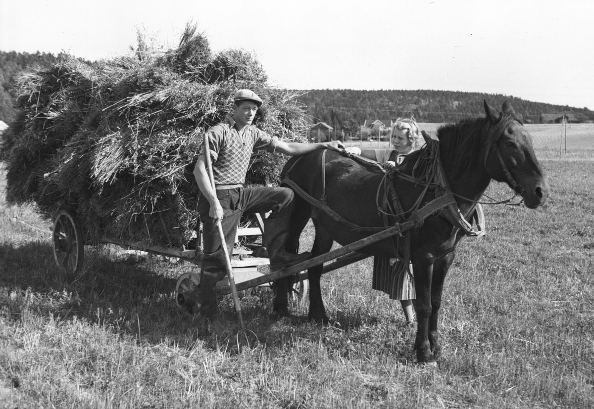 Høyonn, hest og vogn sørger for at transporten, etter stor innsats fra gårdens eiere.