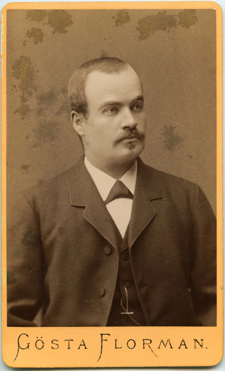 Porträtt på Emil Andersson Ångbåtskommissionär, född 1855 död 1934.