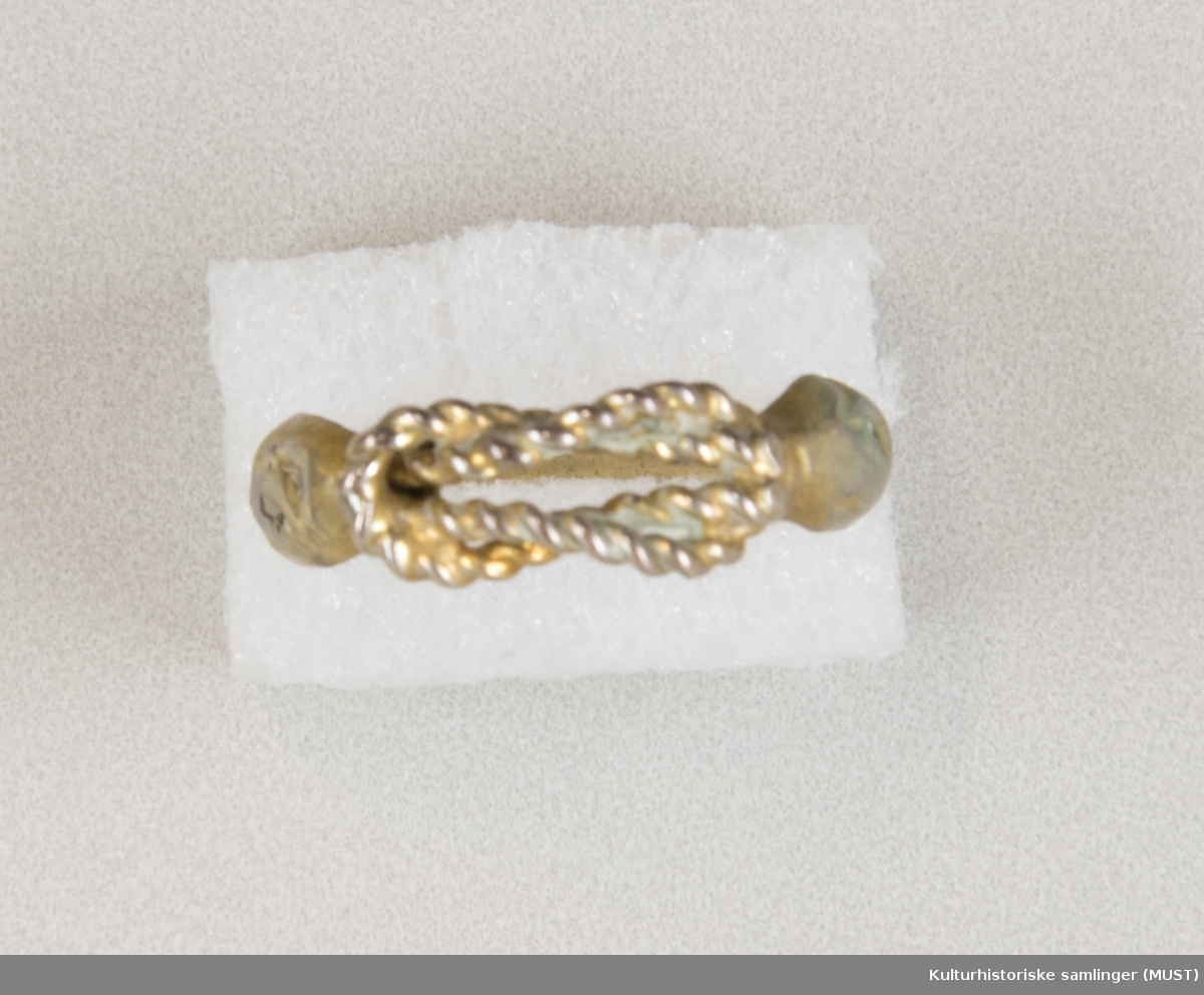 Ringen har skjellformete plater på hver side. Øverst på ringen danner flettet gull en sløyfe.