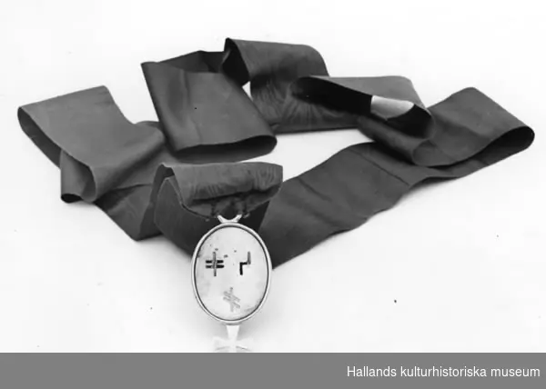 Svartaörnsorden. Ordenstecken av mässing, oval platta med tre genombrutna runor(?). S:t Georgkors i nederänden. Längd= 10,3 cm. Bredd= 5 cm. Grönt bröstband av siden, 82 x 7 cm.