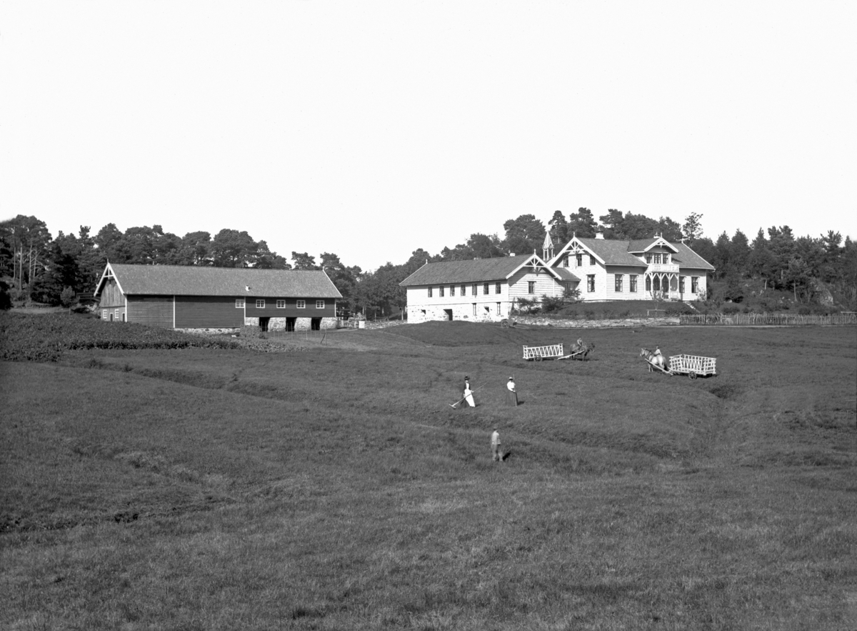Gård, Jordbruk, Våningshus
Fotografert 1900 Ca.