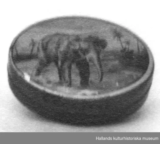 Oval dosa i plåt. Underdelen är rödmålad med svart text "Cloetta" (se scannad bild). På översidan en bild av en indisk elefant bland palmer. Text: "AB BLECK VARUFABR.MALMÖ. "