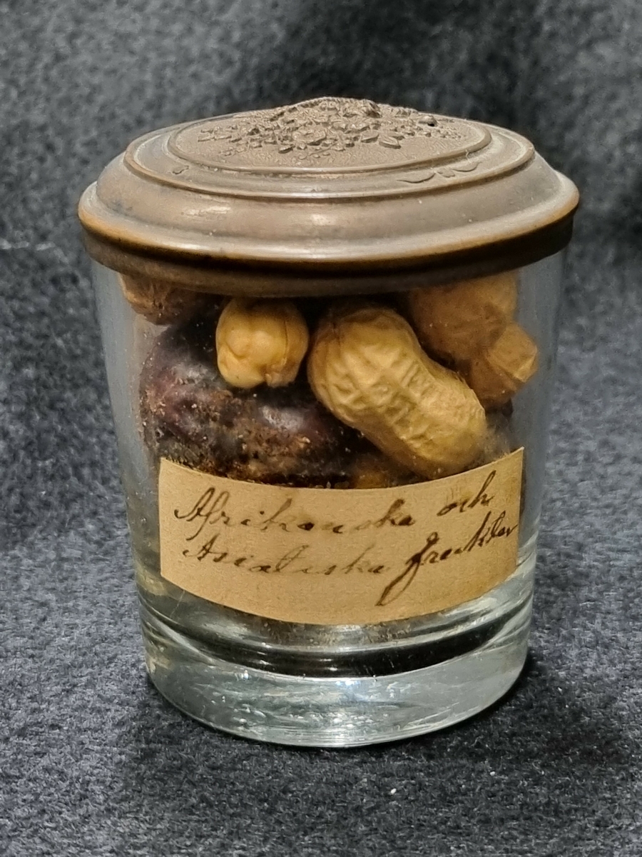 Diverse nötter och jordnötter.

Gåva av egendomsmäklare John G. Johnson, East Hampton, USA, år 1928.